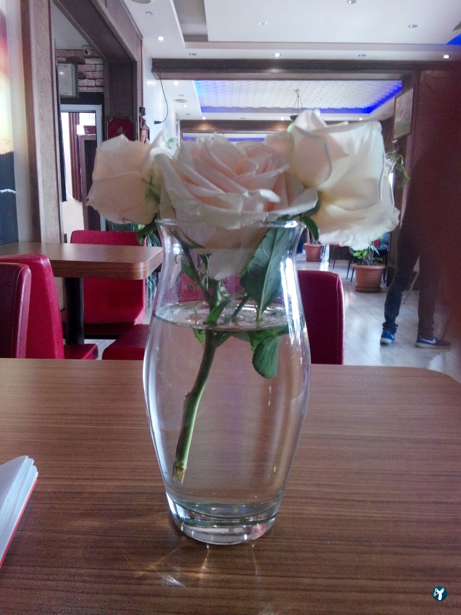Cidan Cafe
