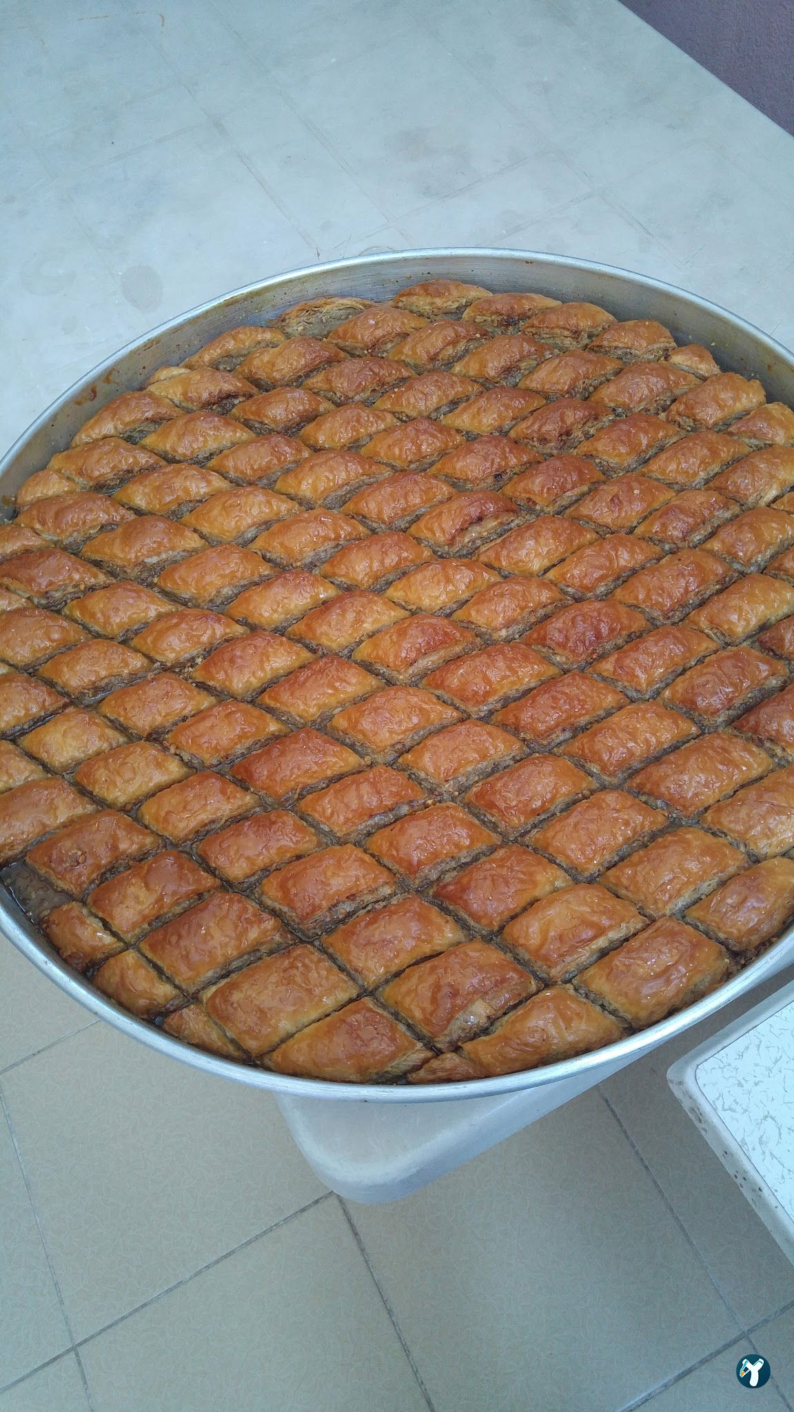 Nefi̇sta Çi̇ğköfte