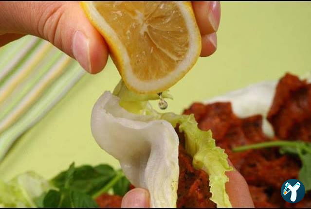 Nefi̇sta Çi̇ğköfte