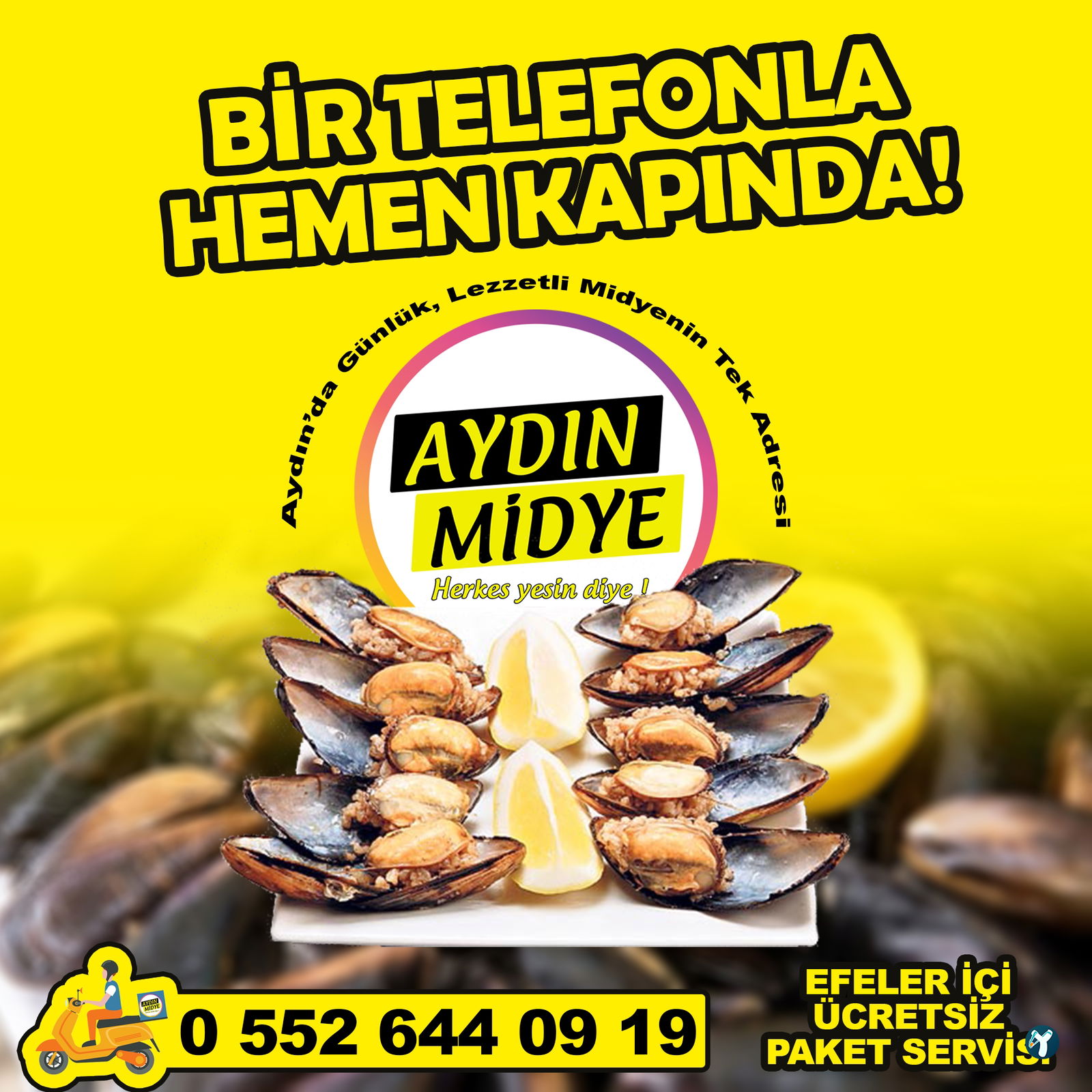 Aydin Mi̇dye
