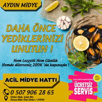 Aydin Mi̇dye