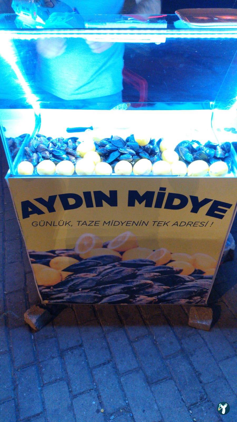 Aydin Mi̇dye