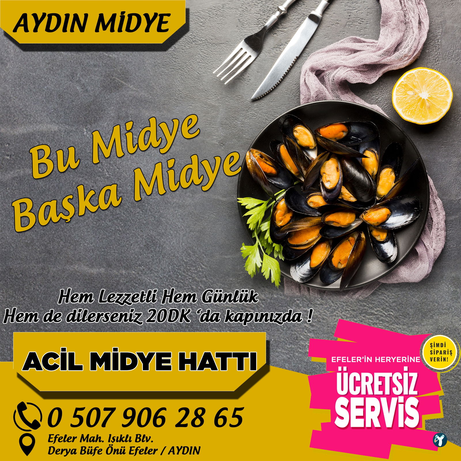Aydin Mi̇dye
