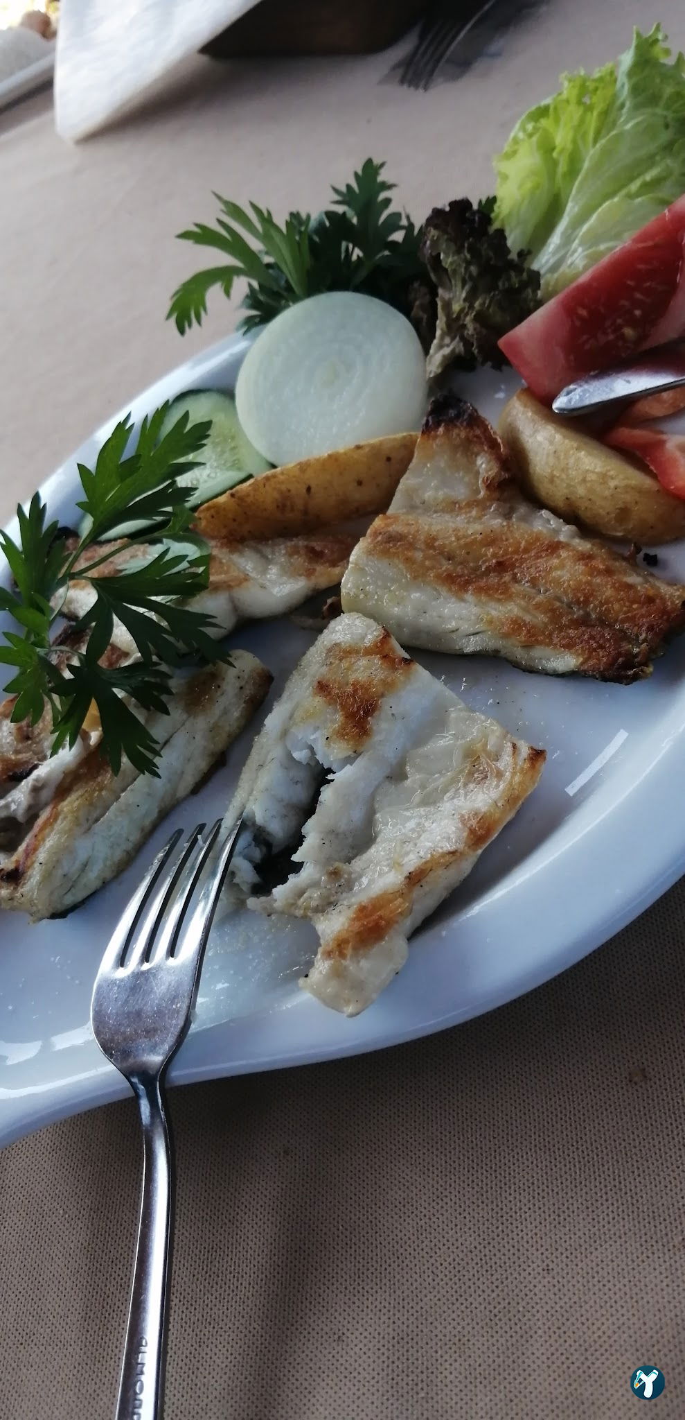 Üniversite Restorant