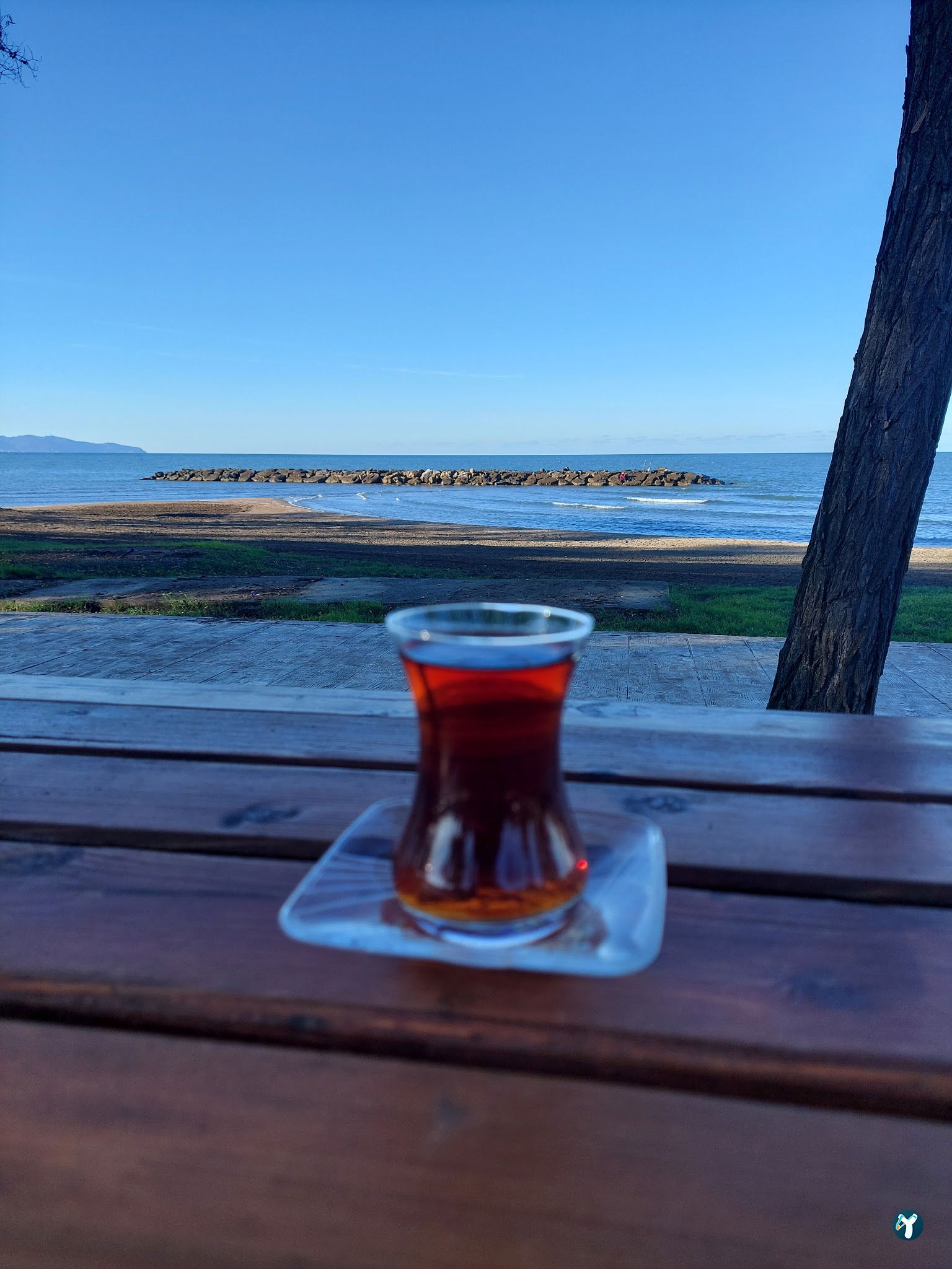 Üniversite Restorant