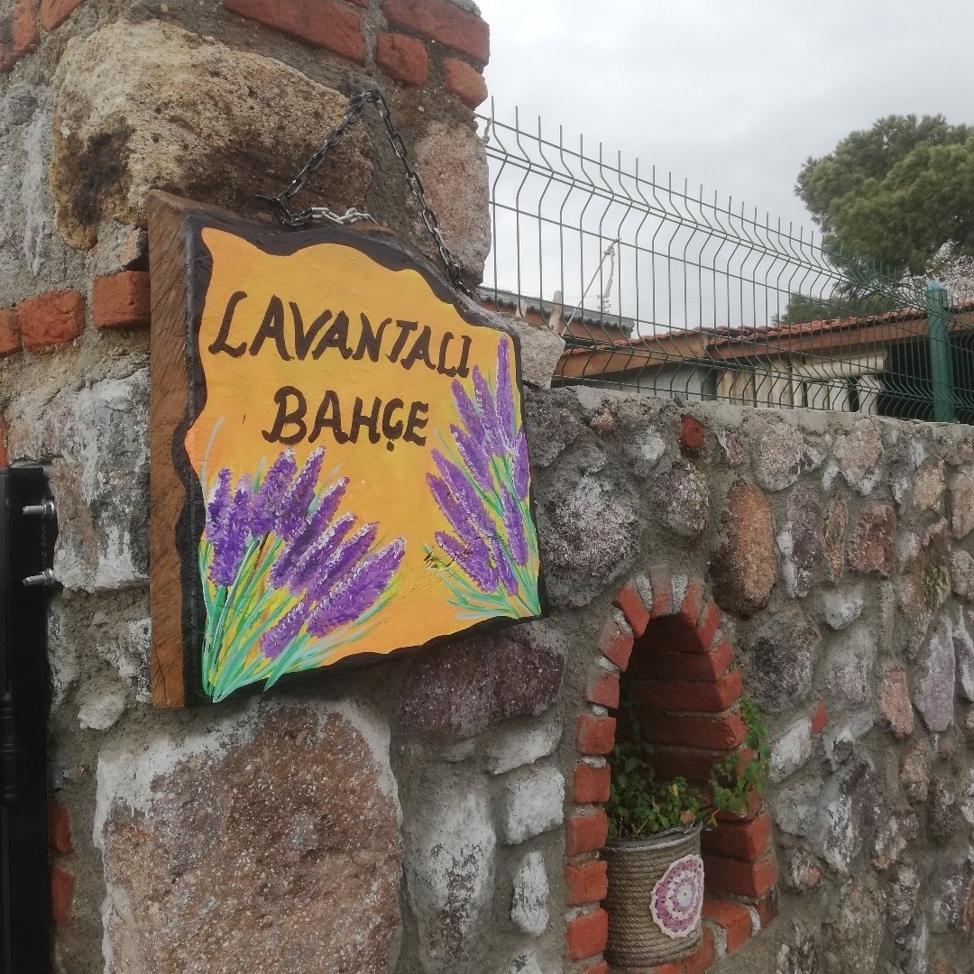 Lavantalı bahçe /katıralanı köyü/dikili serpme köy kahvaltısı REZERVASYON