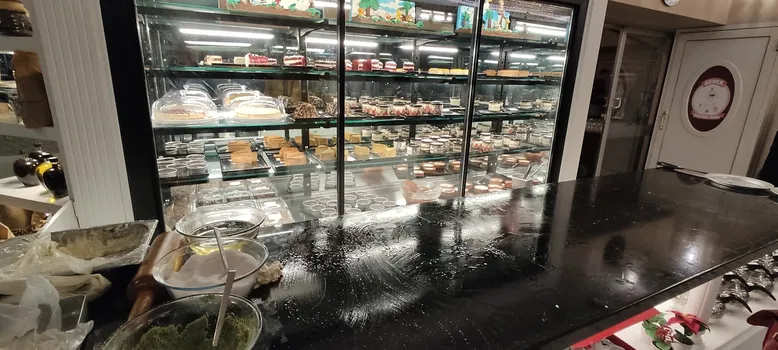 Dilruba Fethipaşa resimleri Dilruba Fethipaşa resimleri