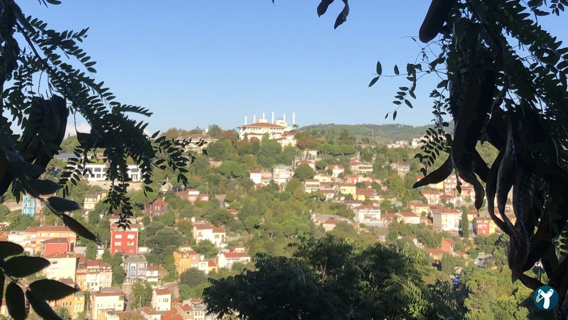 Dilruba Fethipaşa
