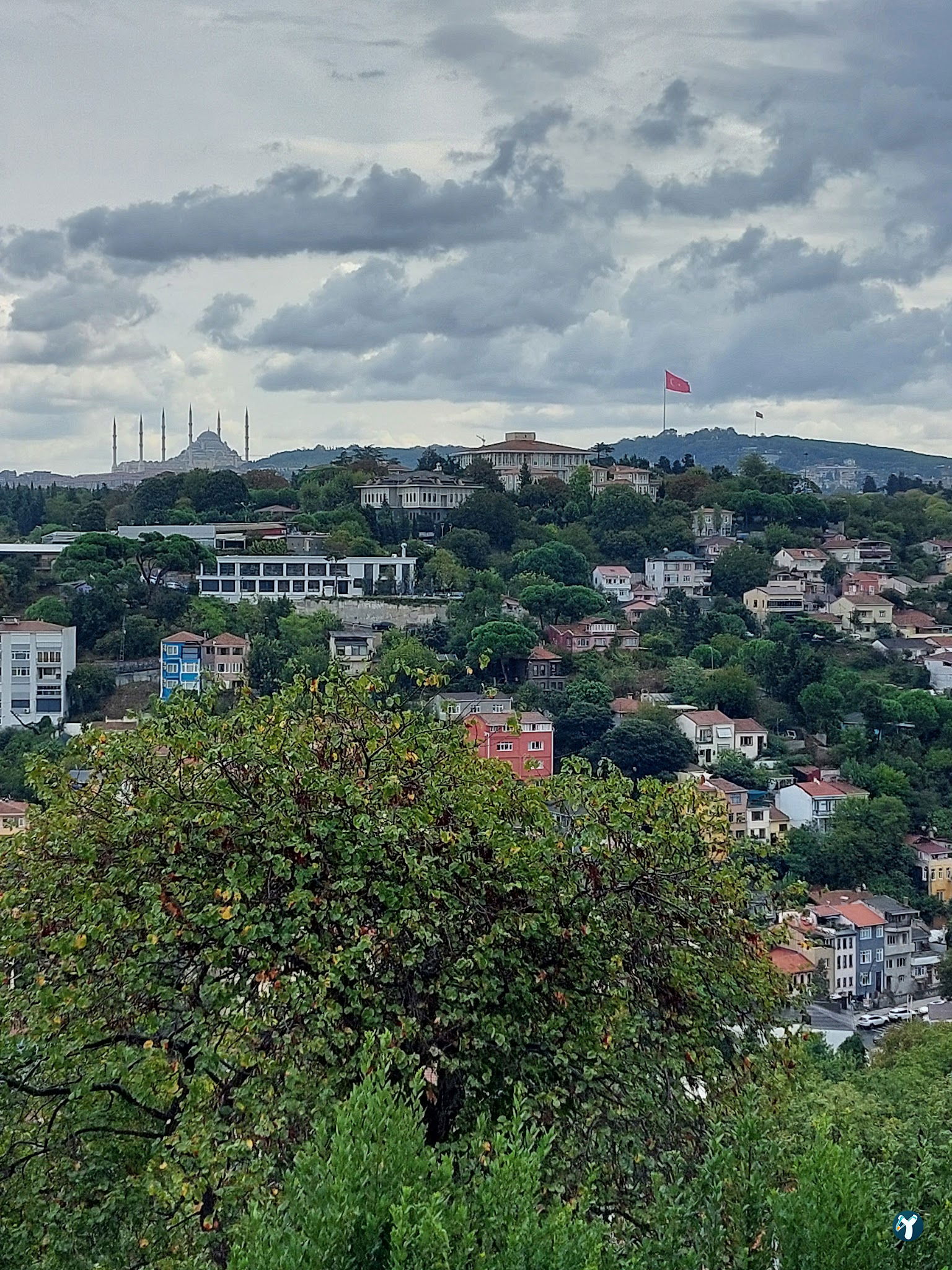 Dilruba Fethipaşa