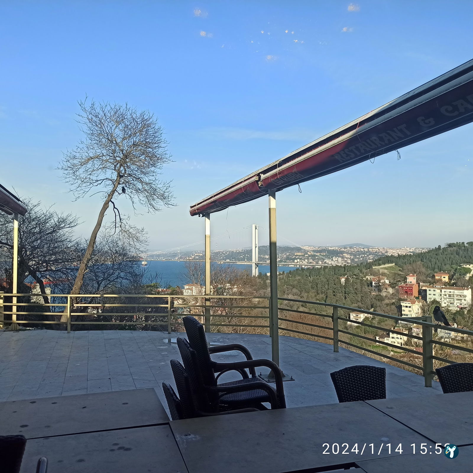 Dilruba Fethipaşa