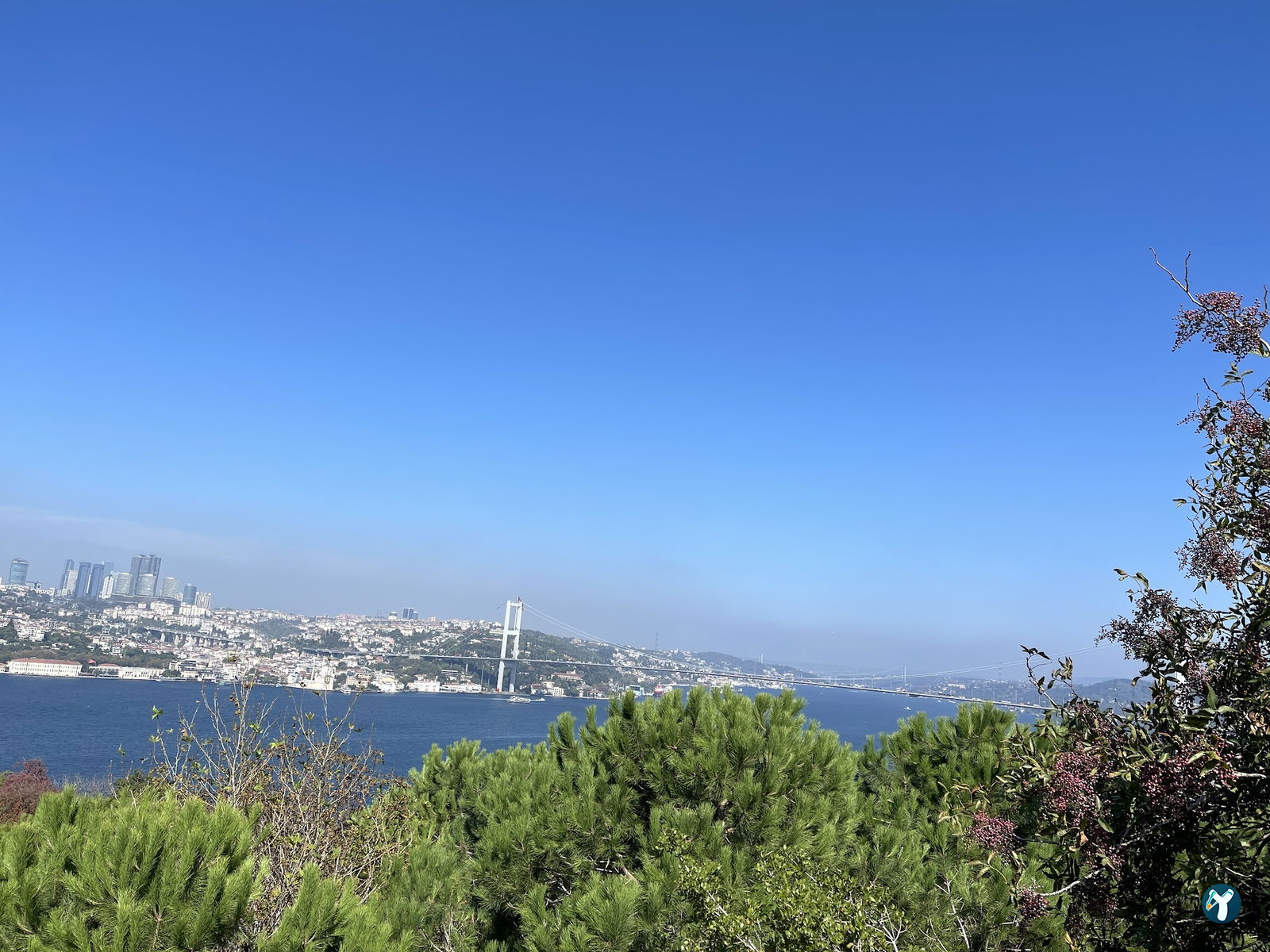 Dilruba Fethipaşa
