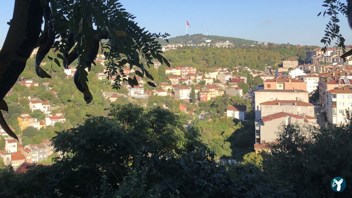 Dilruba Fethipaşa