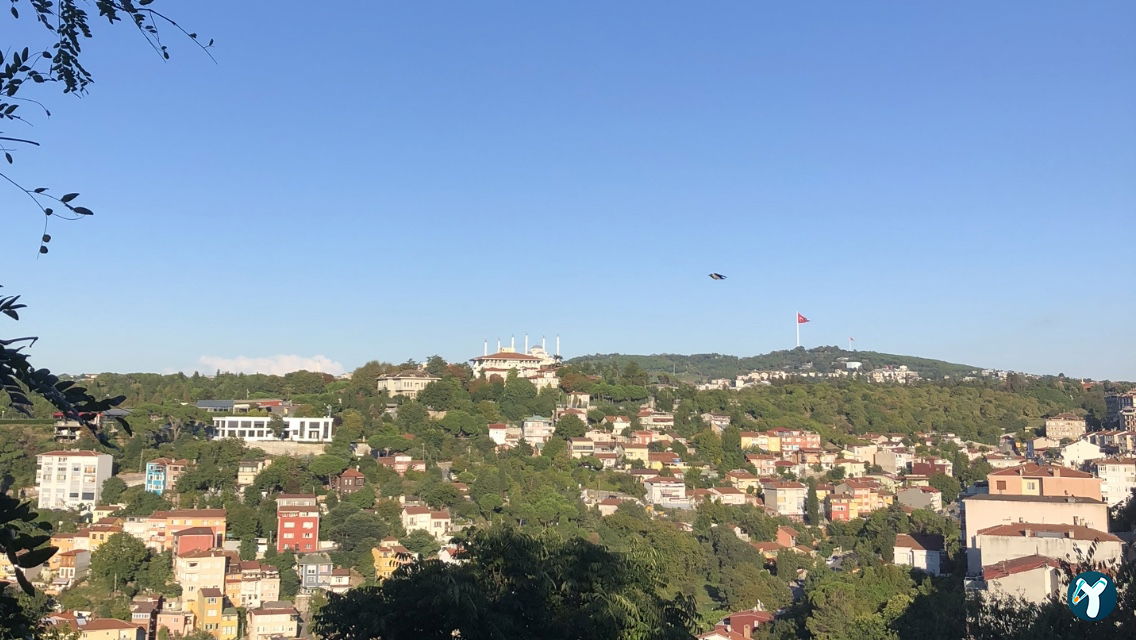 Dilruba Fethipaşa