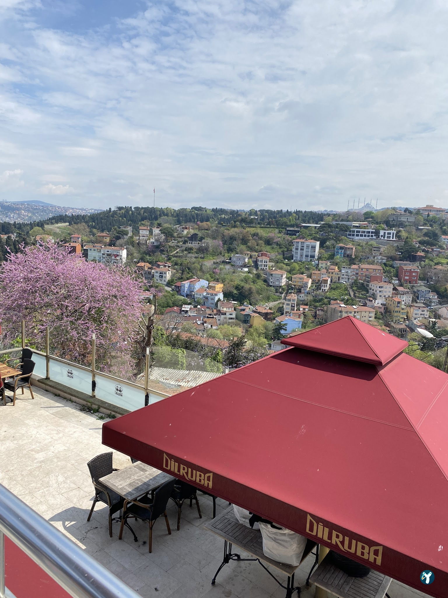 Dilruba Fethipaşa