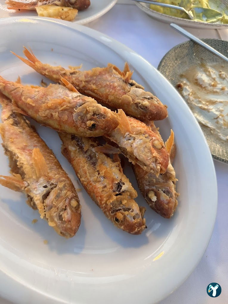 Fahri'nin Yeri Alaçatı