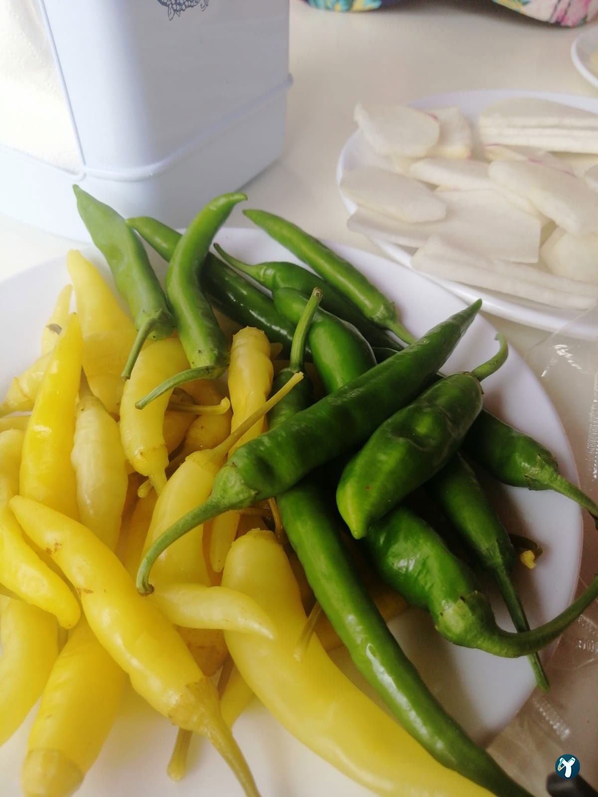 Deni̇zhan 2 Tantuni̇ ( Mezi̇tli̇ /Mersi̇n )