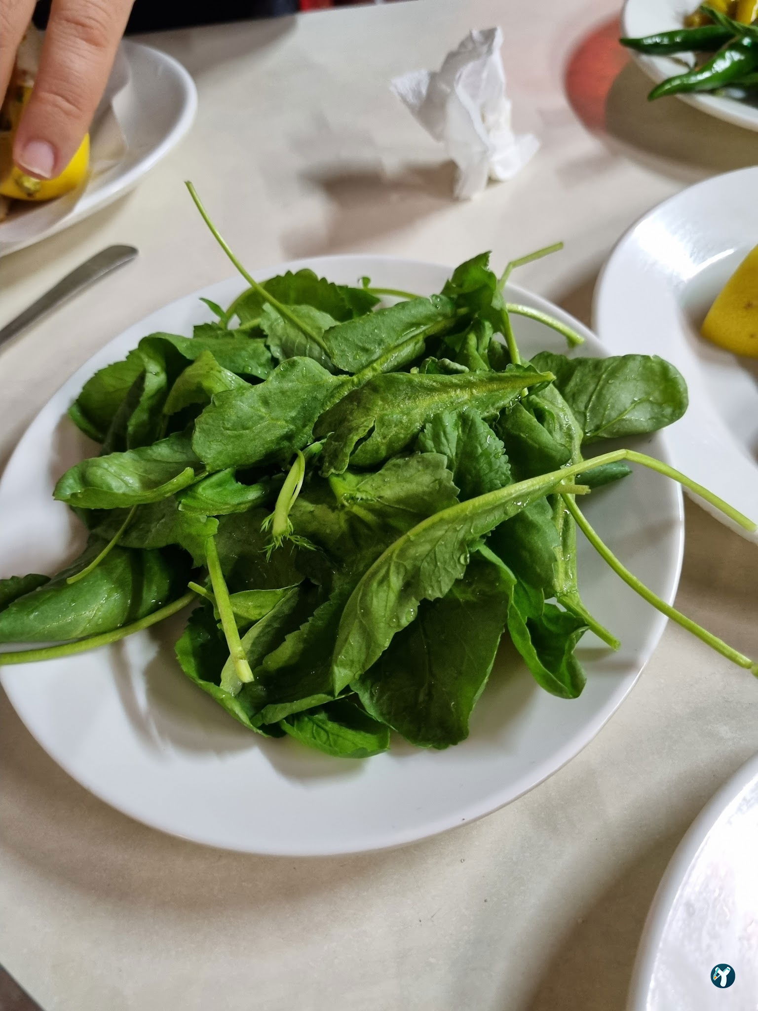 Deni̇zhan 2 Tantuni̇ ( Mezi̇tli̇ /Mersi̇n )