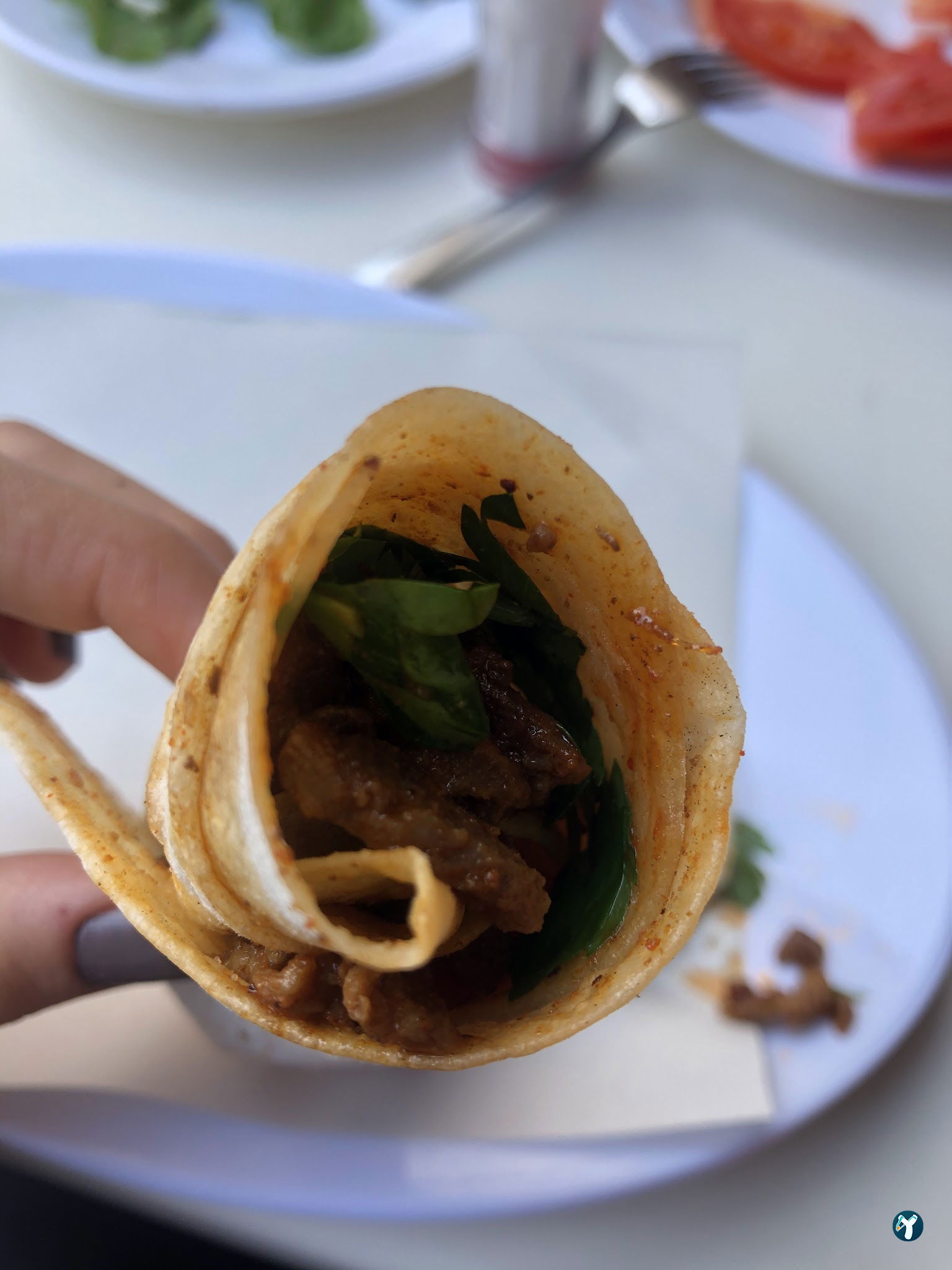 Deni̇zhan 2 Tantuni̇ ( Mezi̇tli̇ /Mersi̇n )