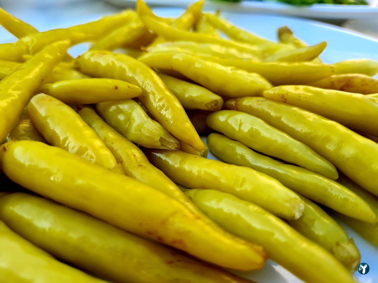 Deni̇zhan 2 Tantuni̇ ( Mezi̇tli̇ /Mersi̇n )