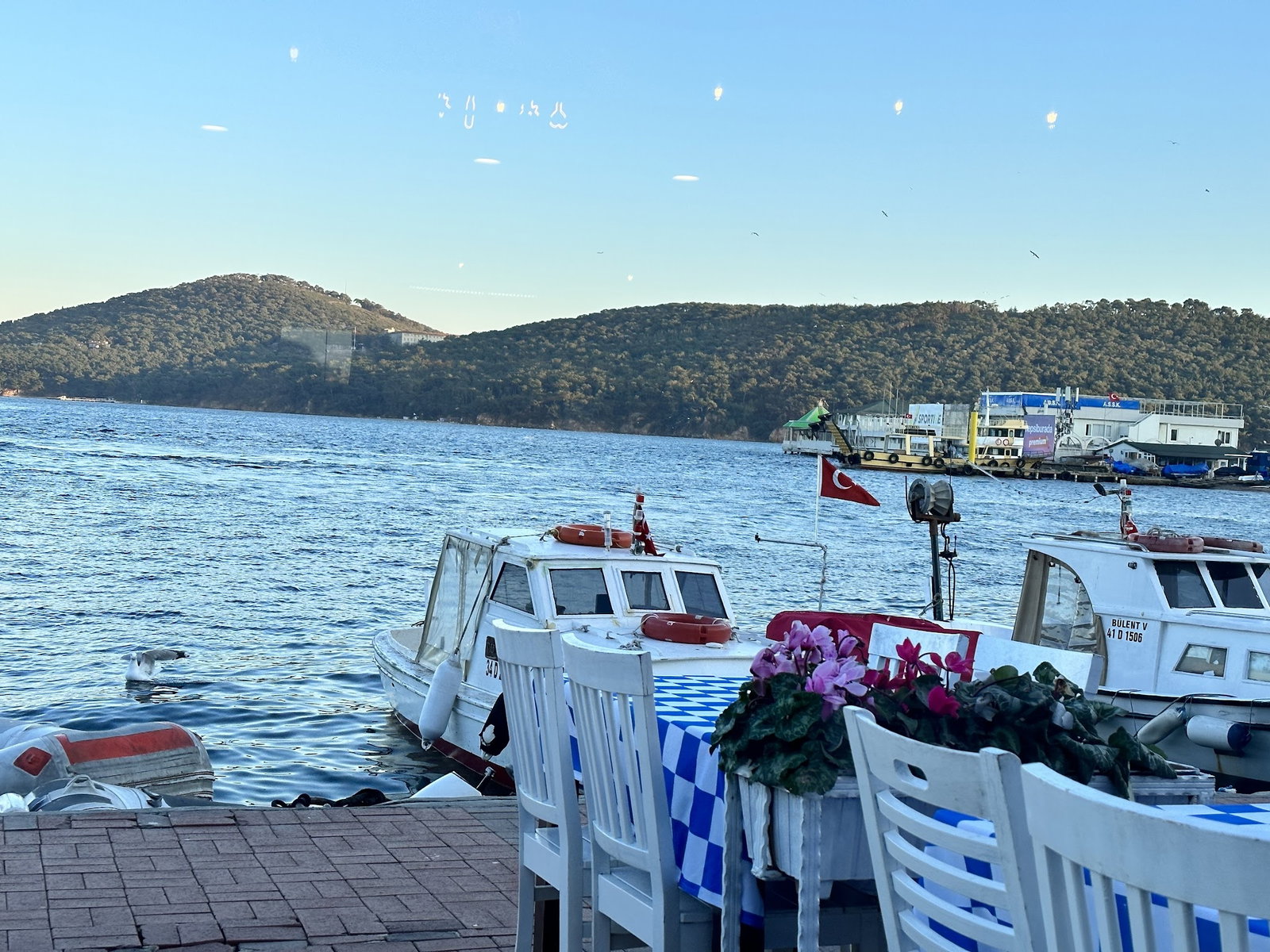 Barba Yani Restaurant