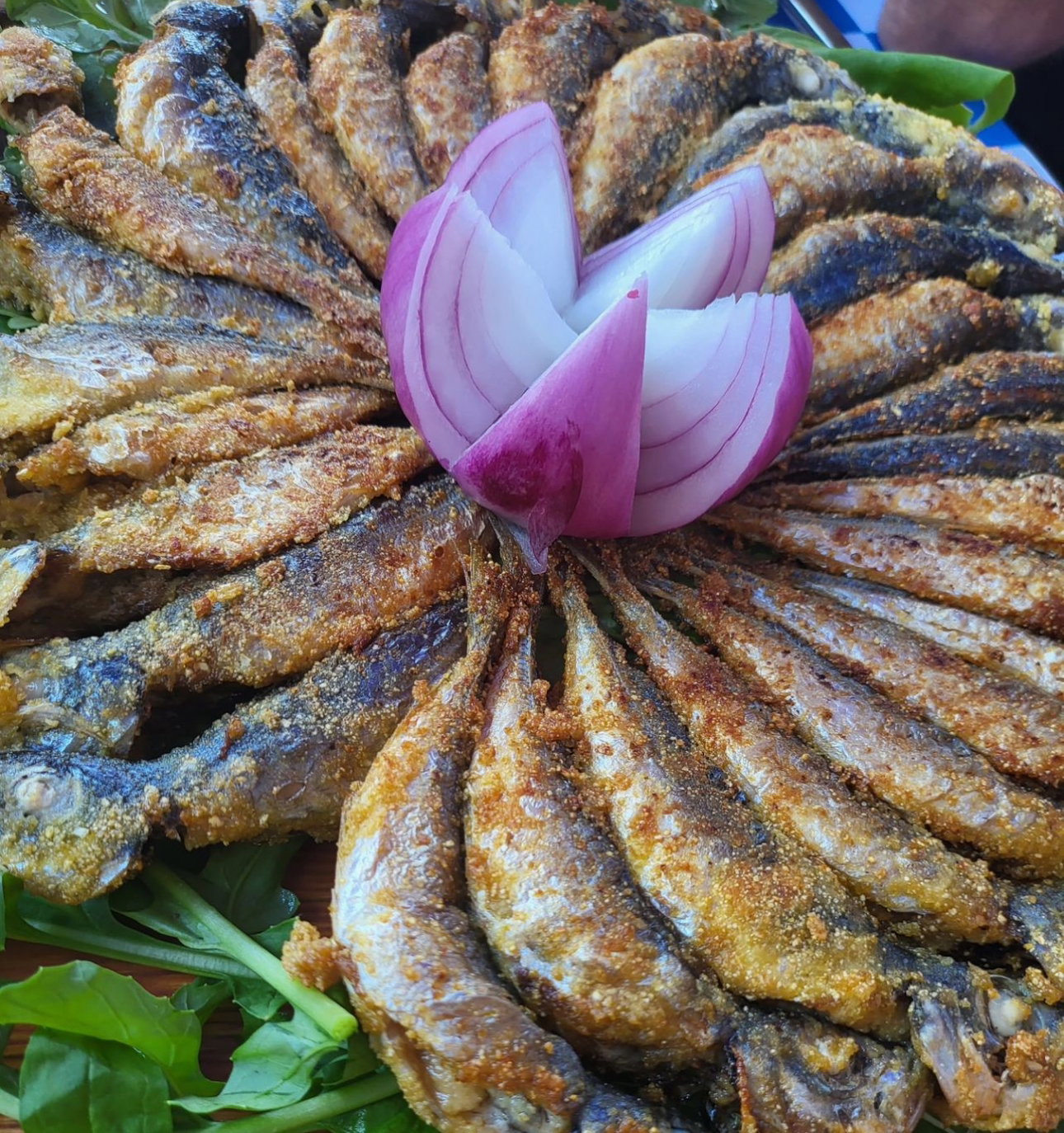 Barba Yani Restaurant