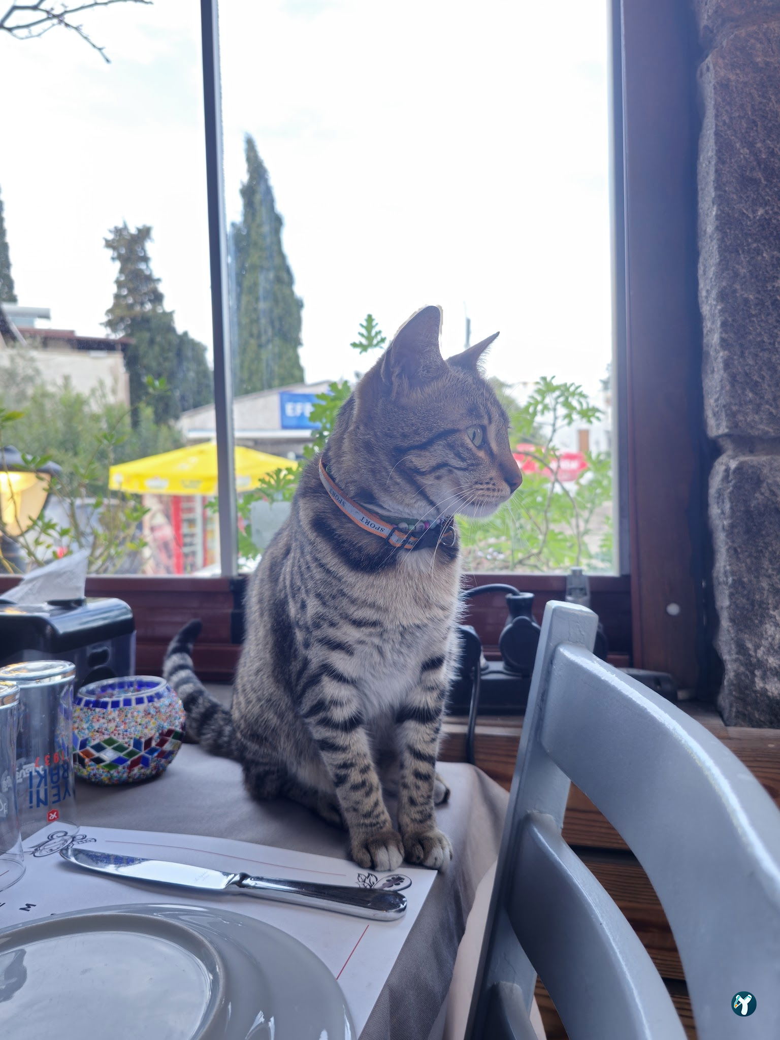 Levant Ocakbaşı