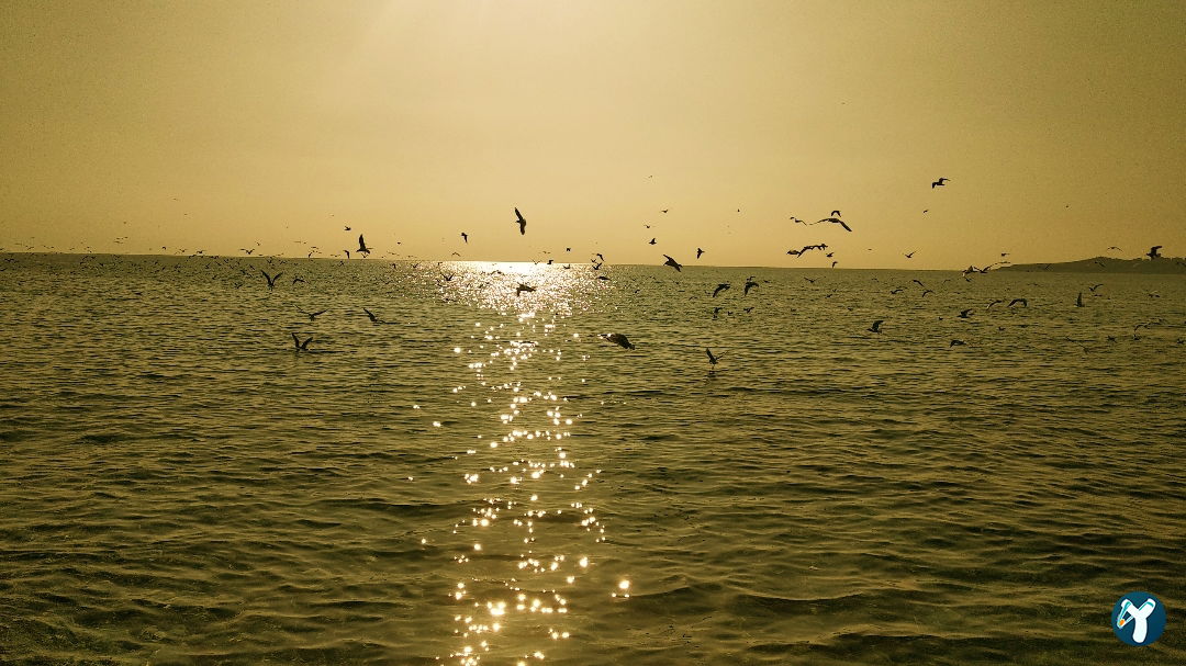 Gurpinar Coast