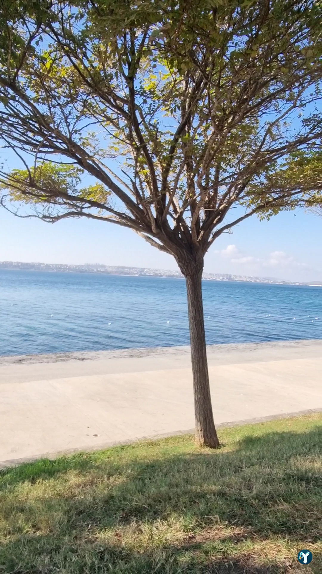 Gurpinar Coast