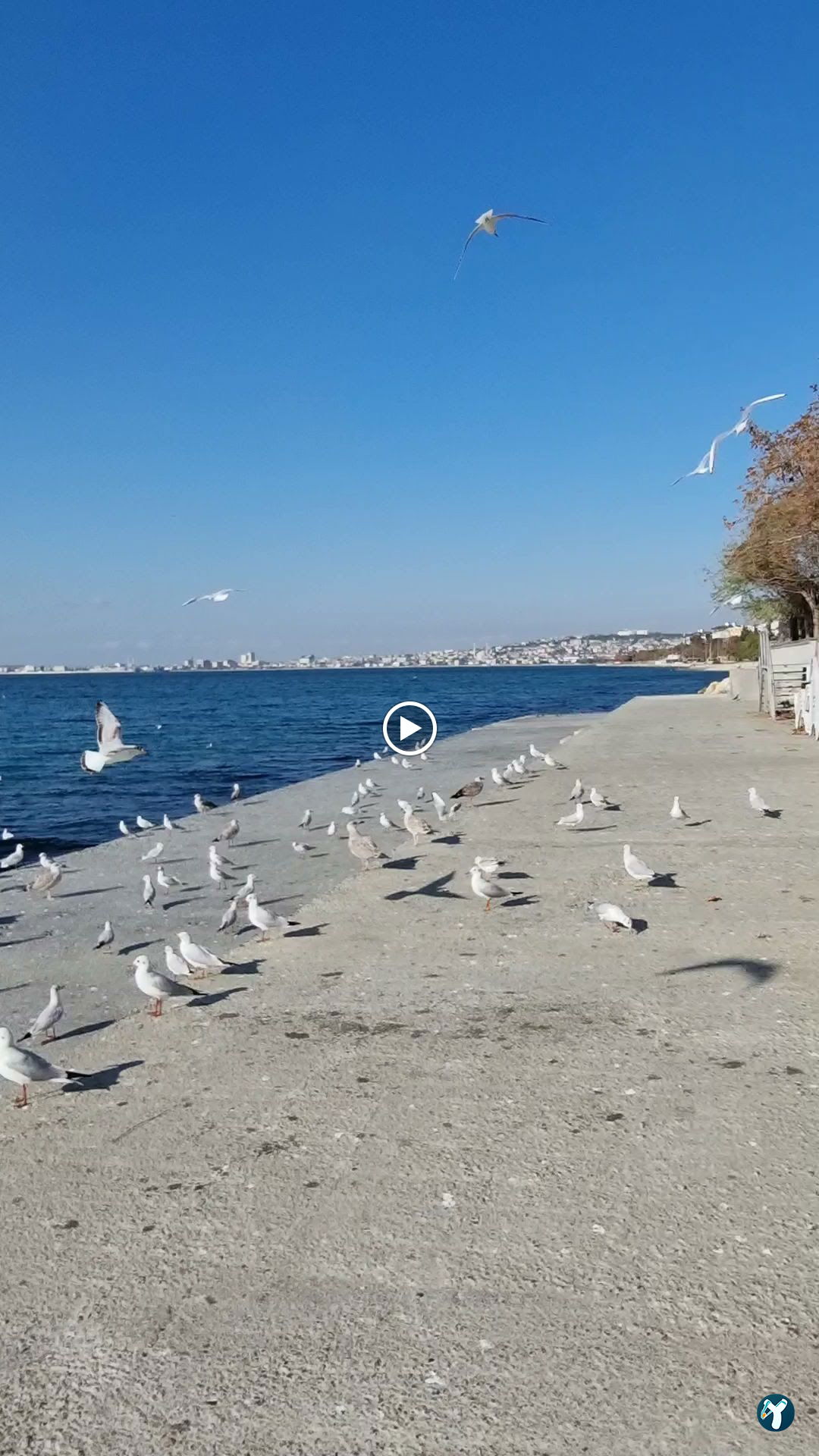 Gurpinar Coast