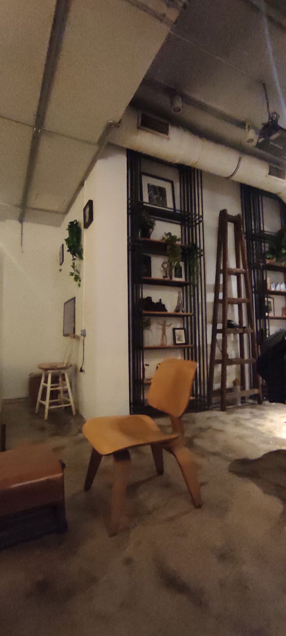 Federal Coffee Company