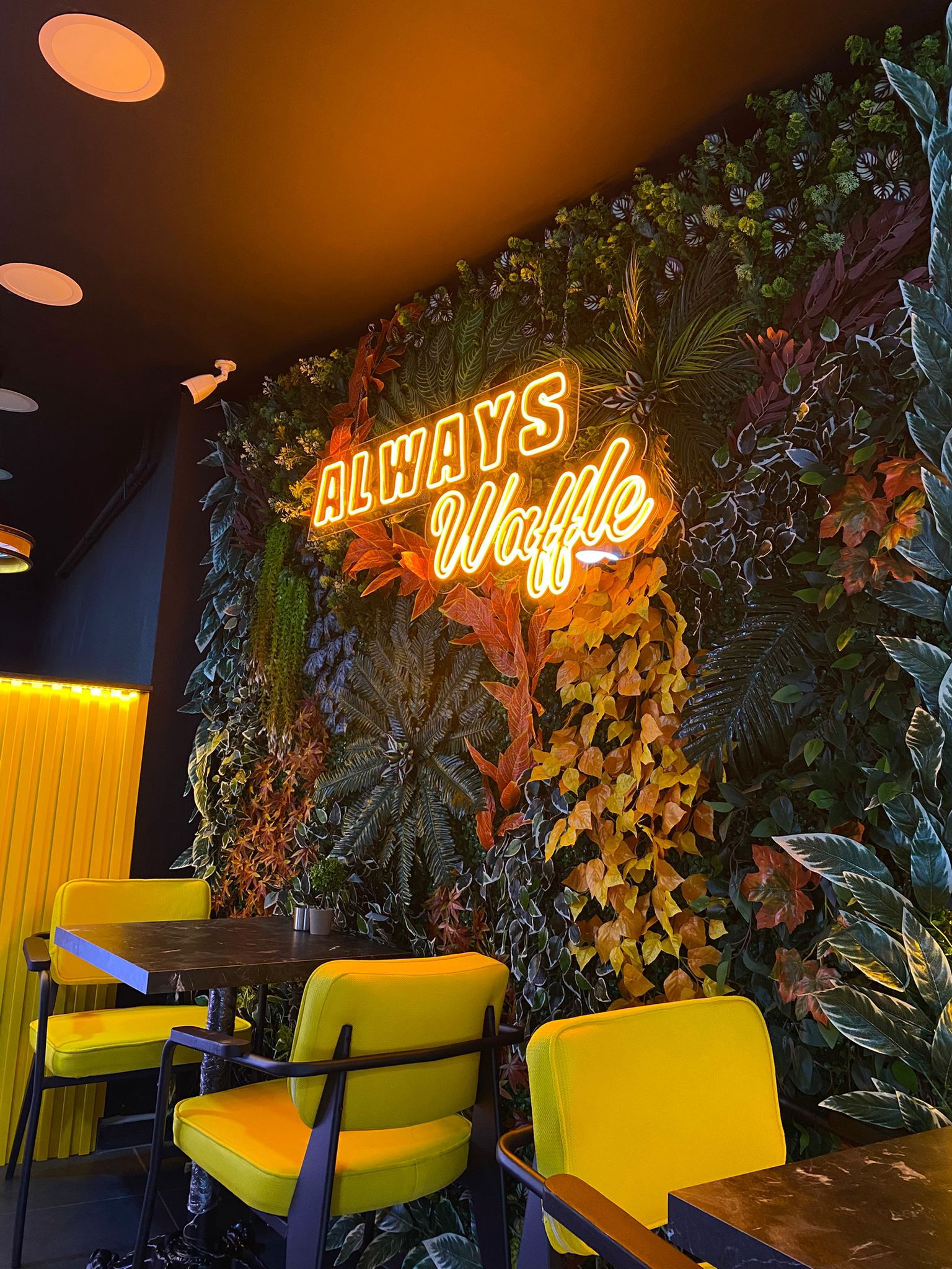 Always Waffle Üsküdar