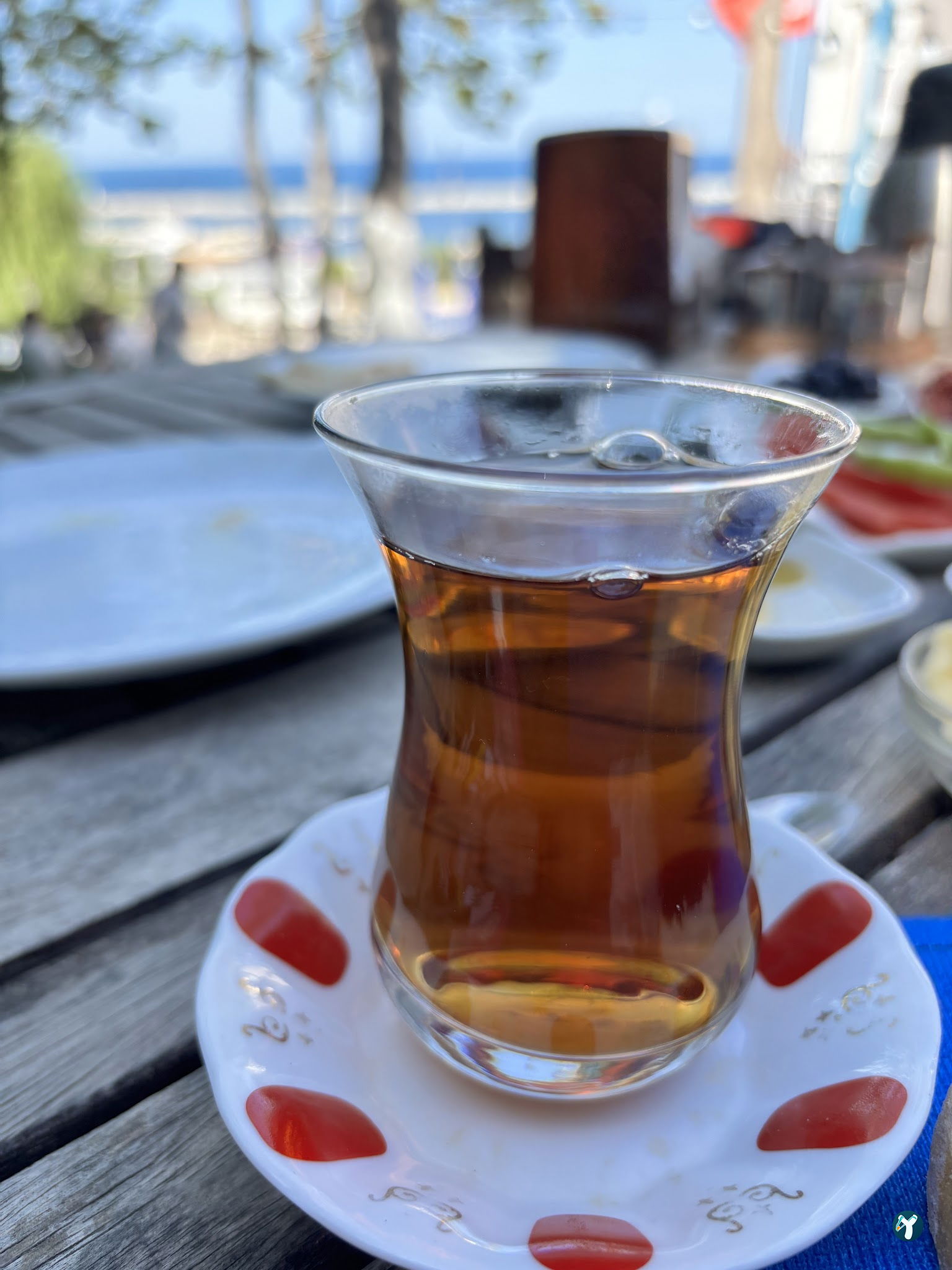 Şile Hanımeli Antik Cafe