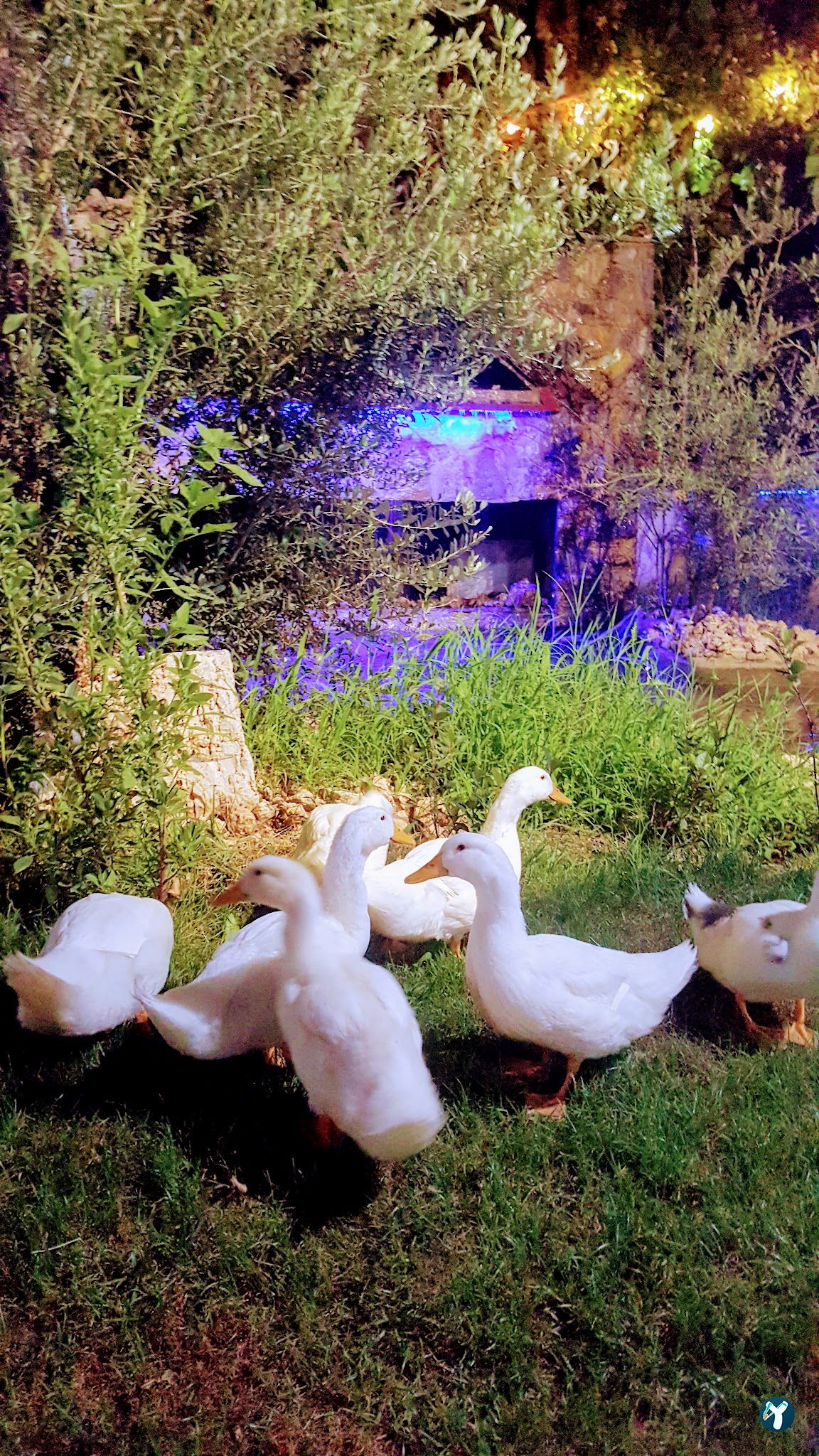 Rota Et Balık Restaurant