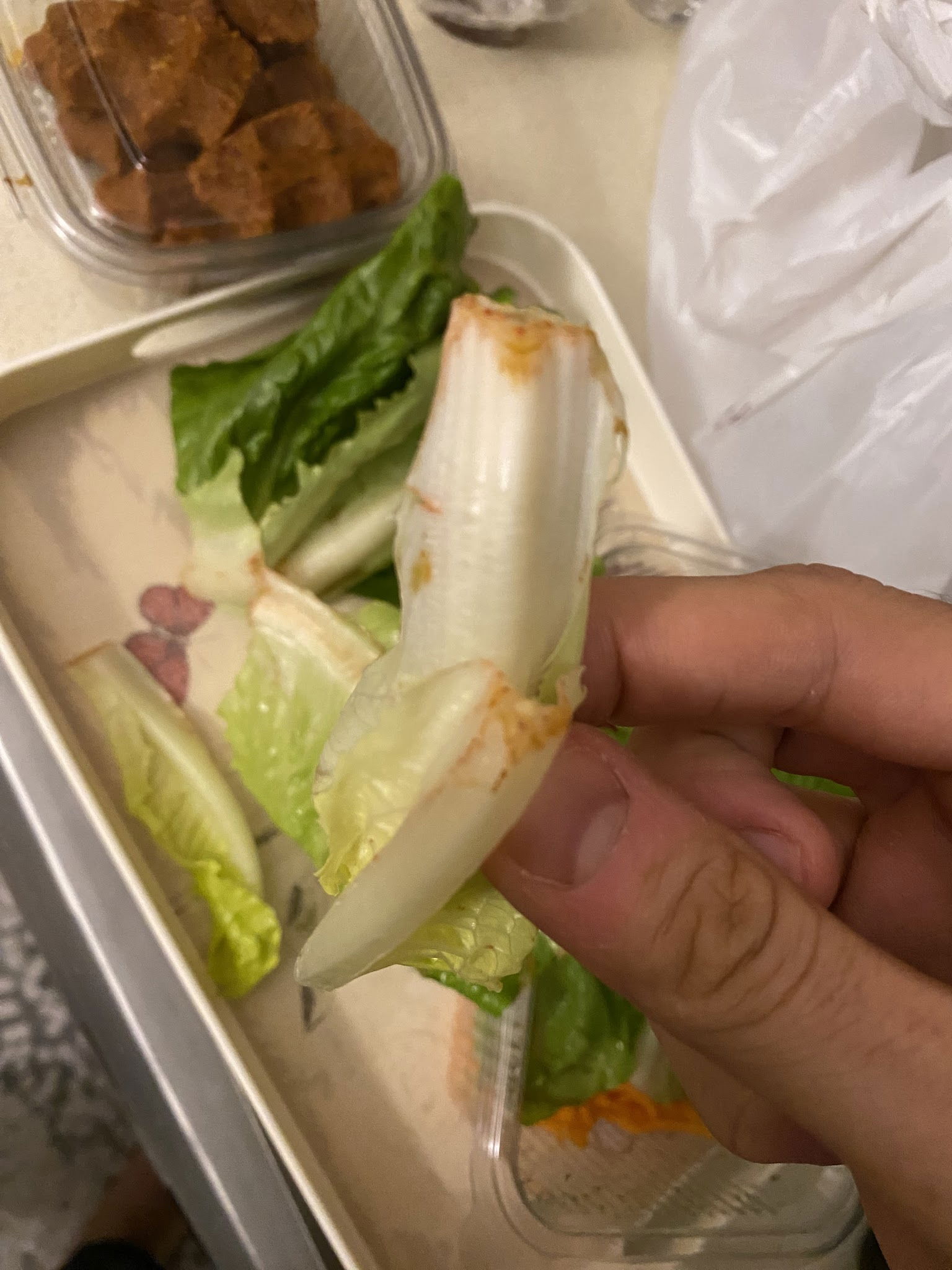 Çaşnigir Lezzetcibaşı Bakırköy