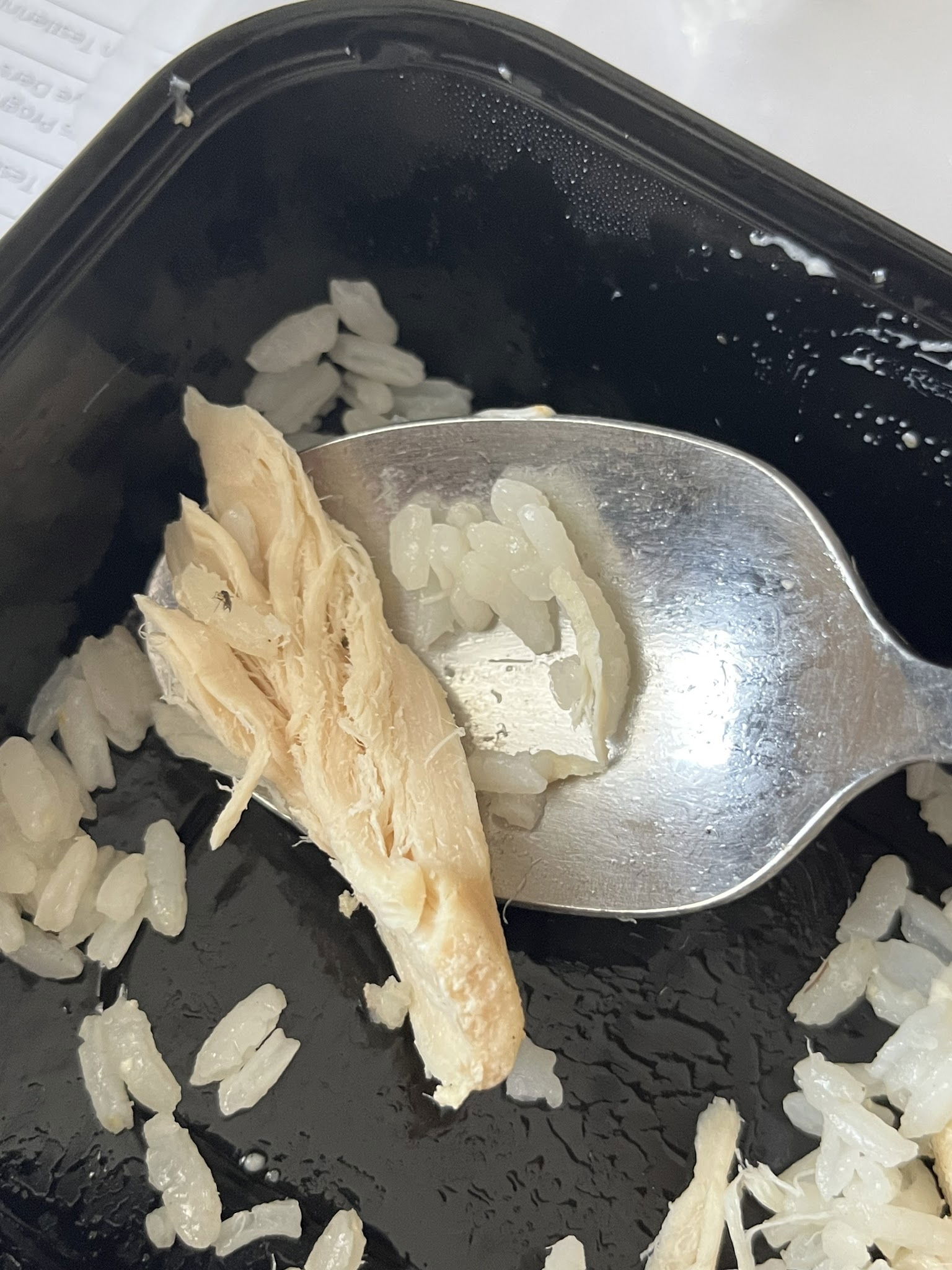 Çaşnigir Lezzetcibaşı Bakırköy