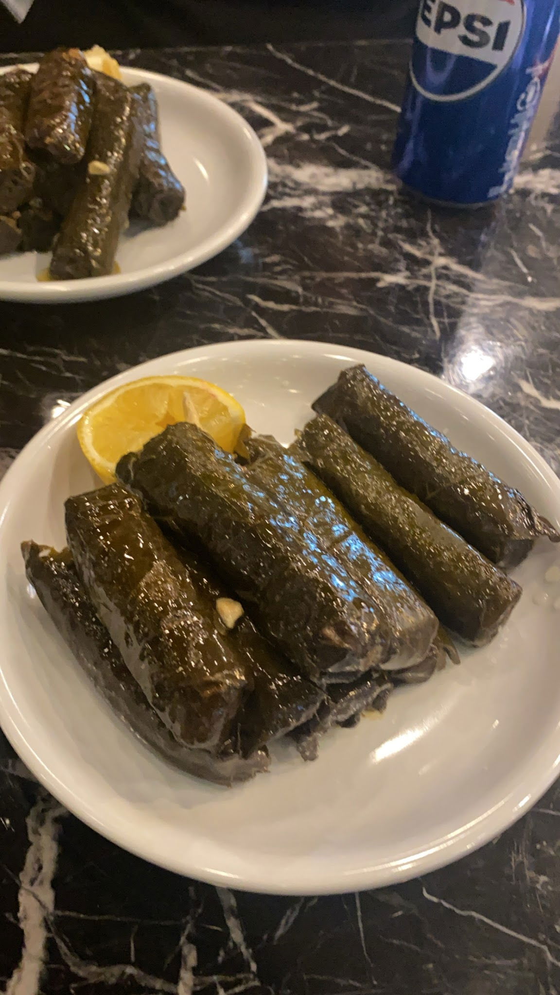 Çaşnigir Lezzetcibaşı Bakırköy