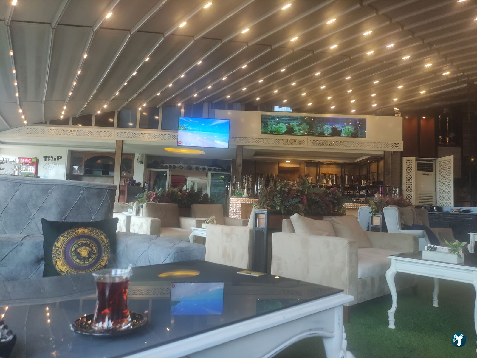 Trip Cafe