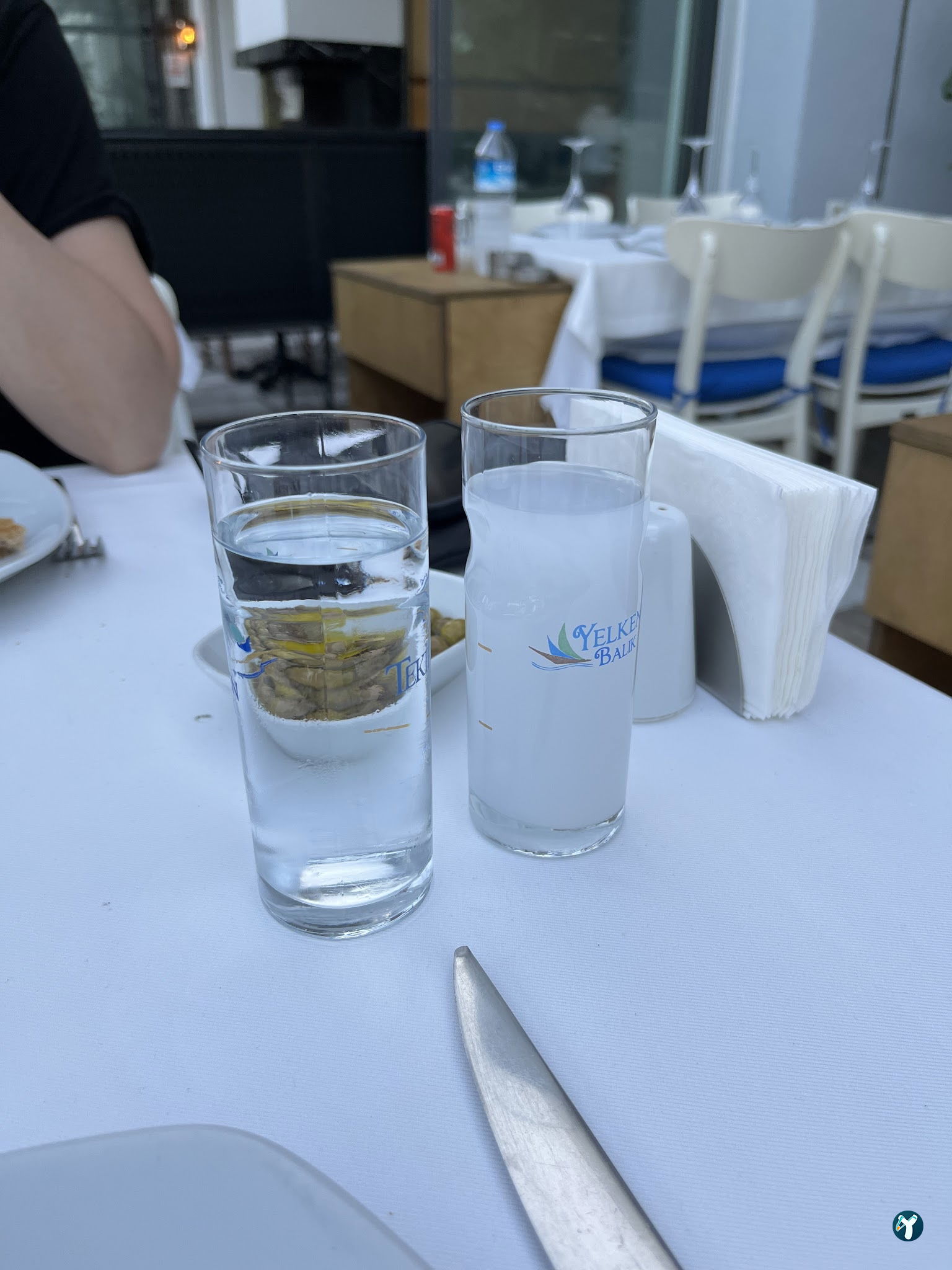 Yelken Balık Bodrum