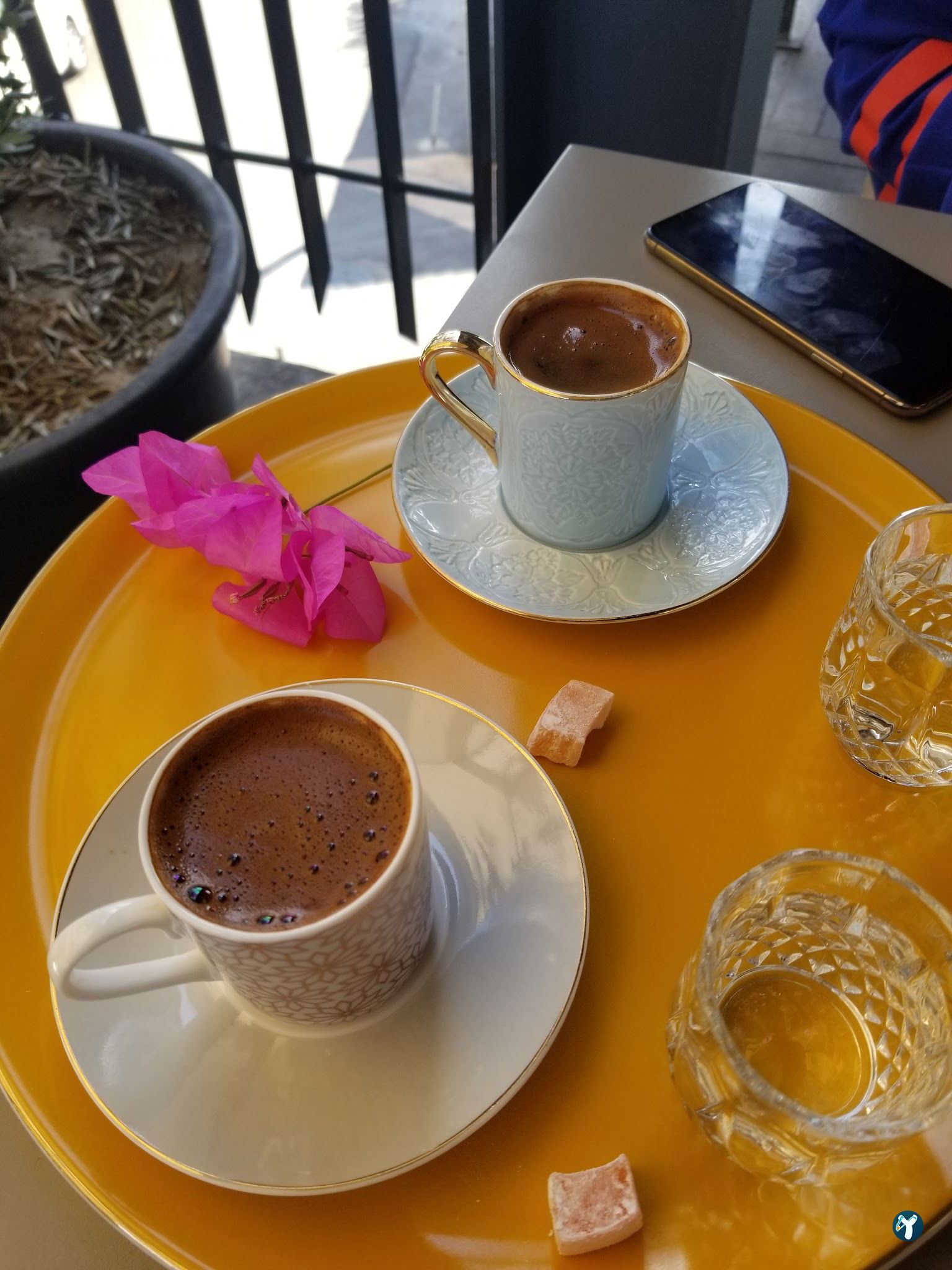 Yelken Balık Bodrum