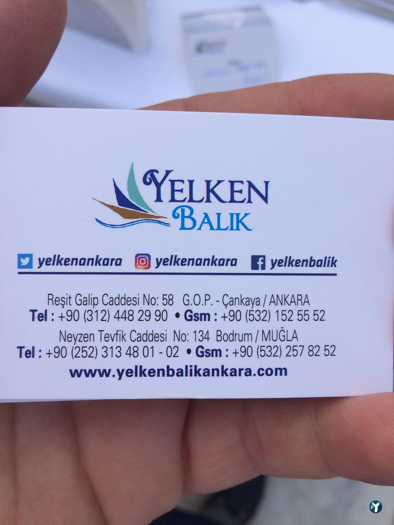 Yelken Balık Bodrum