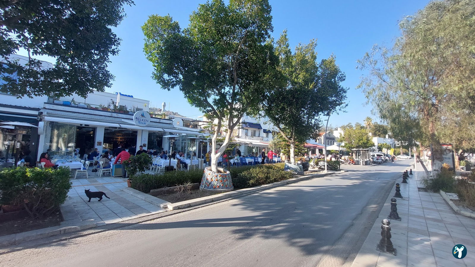 Yelken Balık Bodrum