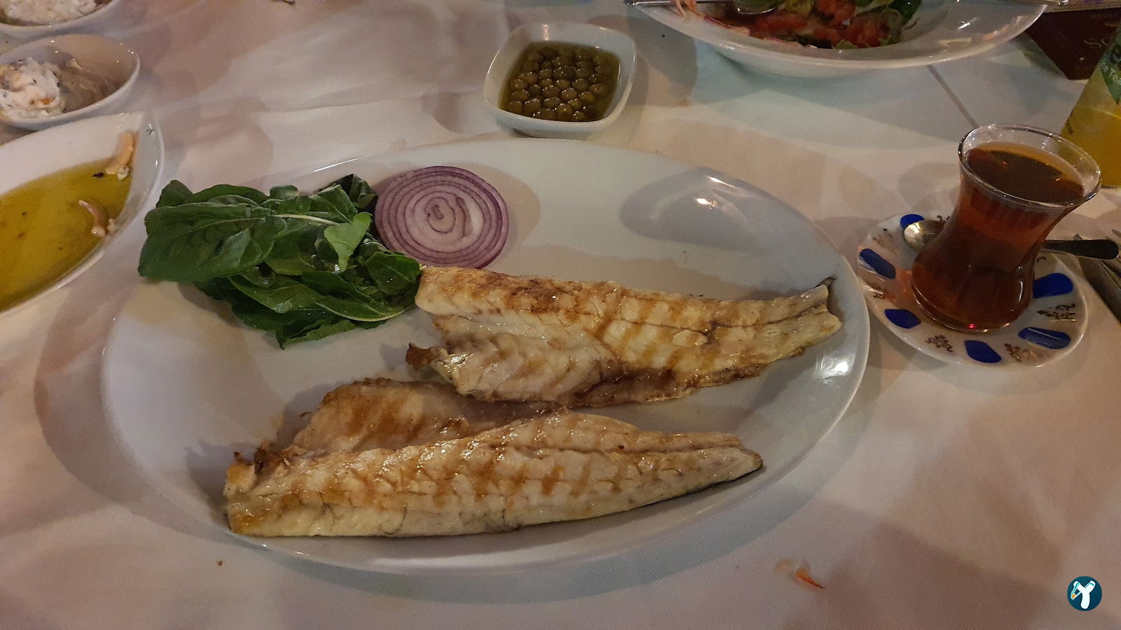 Yelken Balık Bodrum