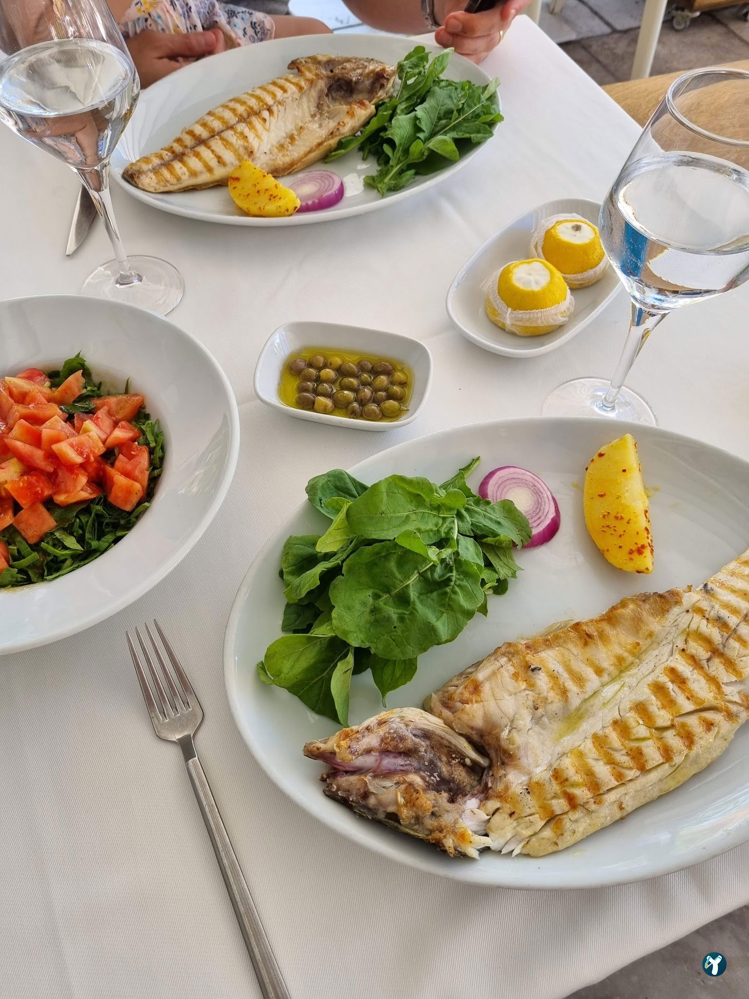 Yelken Balık Bodrum