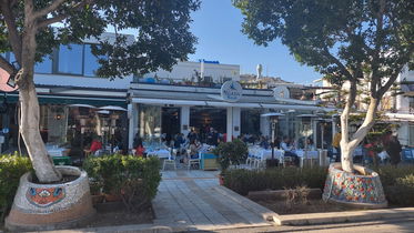 Yelken Balık Bodrum
