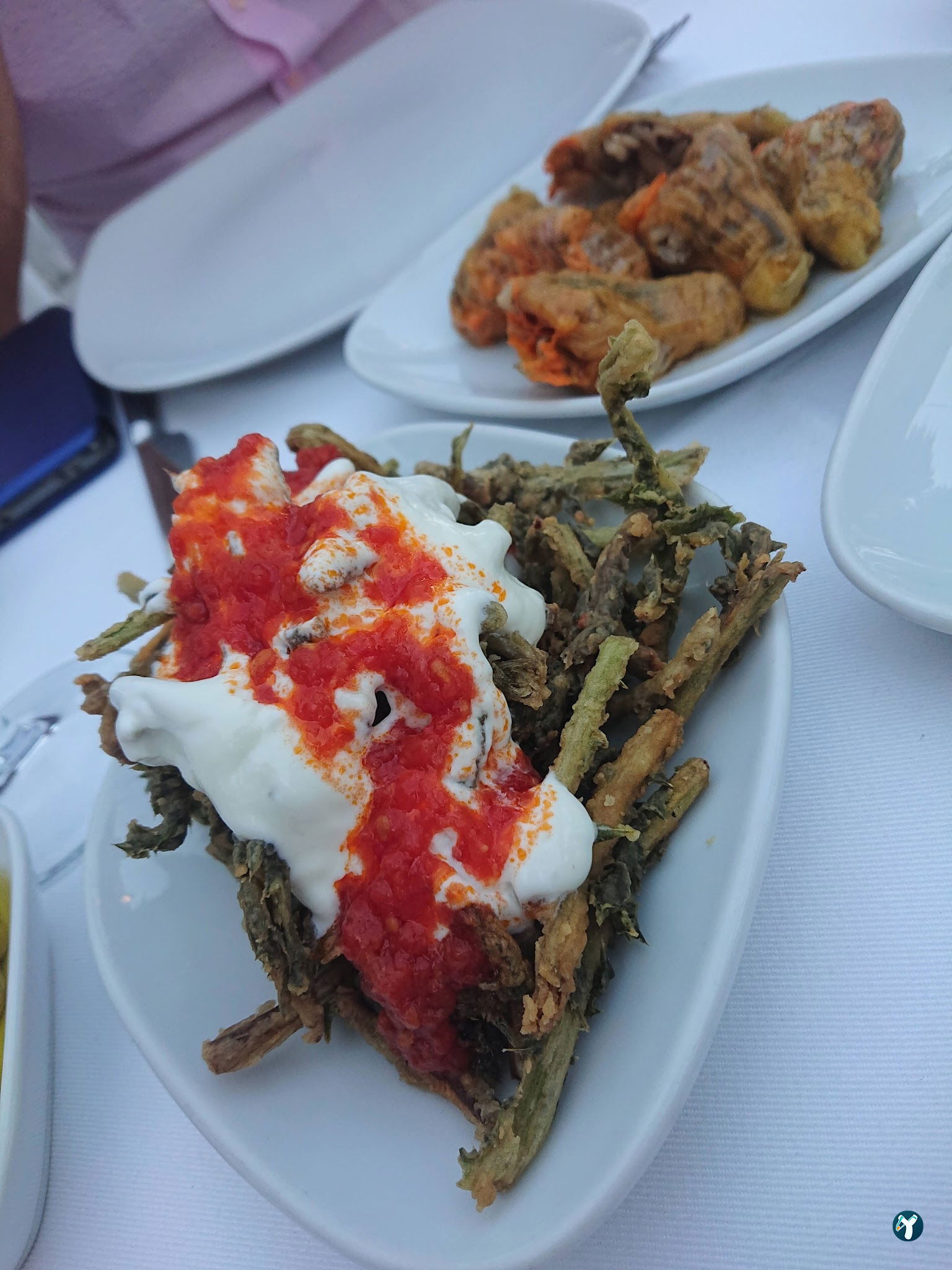 Yelken Balık Bodrum