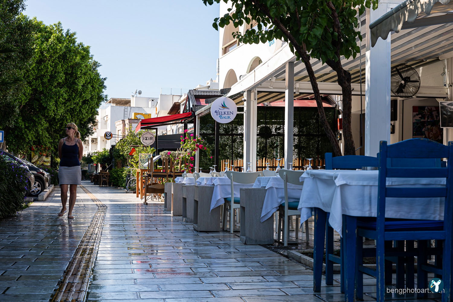 Yelken Balık Bodrum