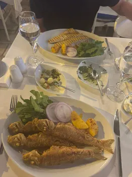Yelken Balık Bodrum resimleri Yelken Balık Bodrum resimleri