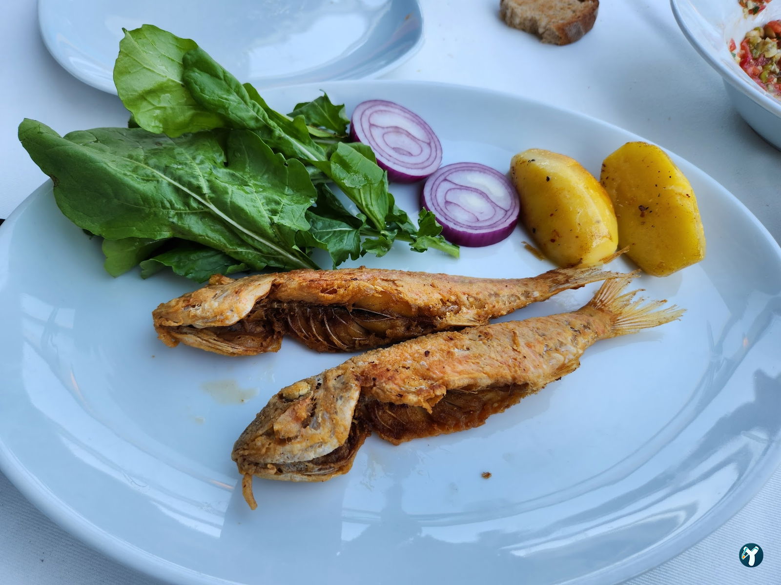 Yelken Balık Bodrum