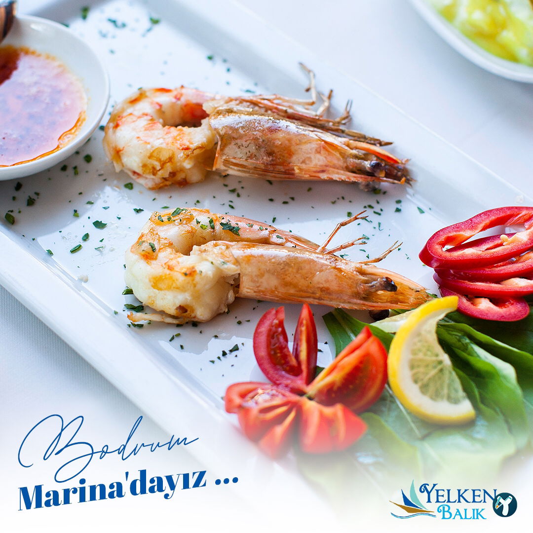 Yelken Balık Bodrum