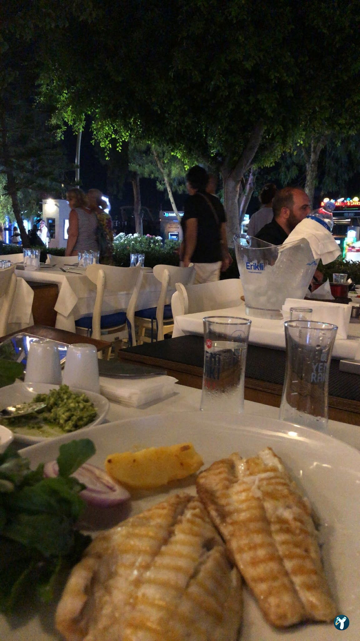 Yelken Balık Bodrum